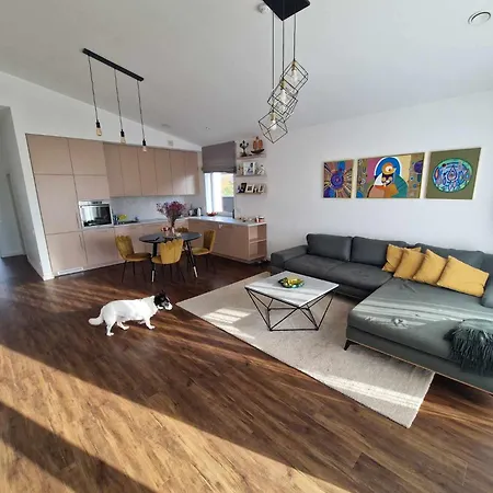 Entire House For A Company Of Friends